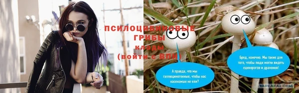 прущий лед Кострома