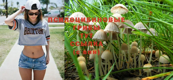 a pvp Абдулино