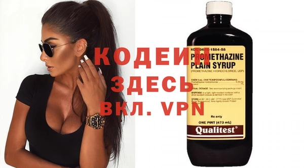 шишки Осташков