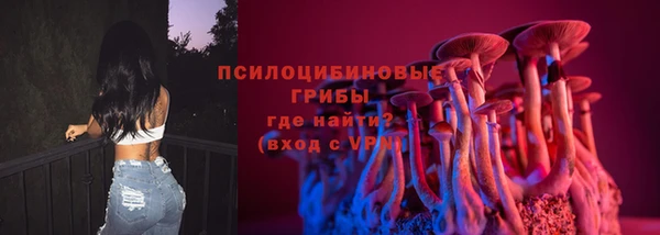 PSILOCYBIN Мурманск
