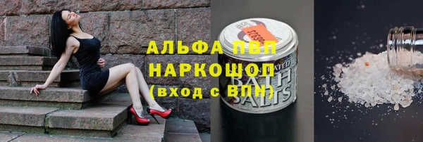 шишки Осташков