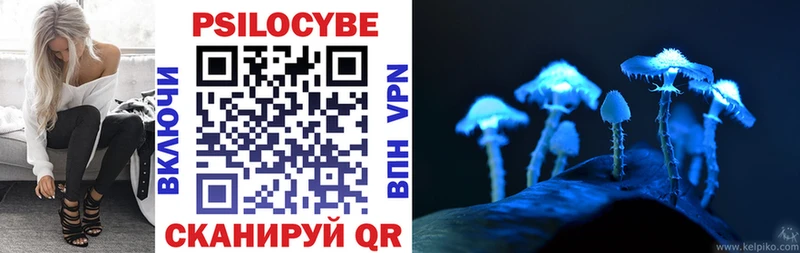 Псилоцибиновые грибы Psilocybe  Мурино 