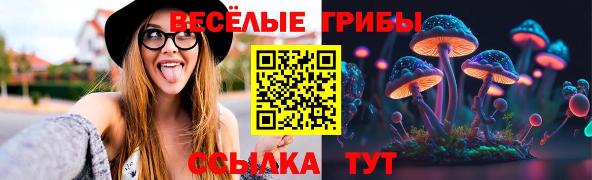 Мурино  Галлюциногенные грибы Psilocybine cubensis  Вход с VPN 